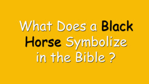 Read more about the article What Does a Black Horse Symbolize in the Bible ?