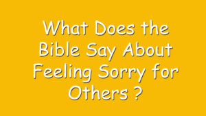 Read more about the article What Does the Bible Say About Feeling Sorry for Others ?