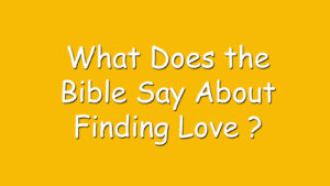 Read more about the article What Does the Bible Say About Finding Love?
