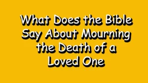 Read more about the article What Does the Bible Say About Mourning the Death of a Loved One