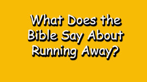 Read more about the article What Does the Bible Say About Running Away?