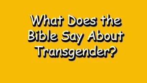 Read more about the article What Does the Bible Say About Transgender? Exploring Biblical Perspectives