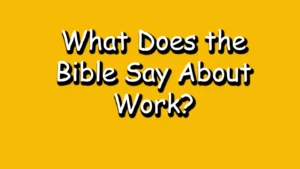 Read more about the article What Does the Bible Say About Work?
