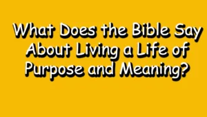 Read more about the article What Does the Bible Say About Living a Life of Purpose and Meaning?