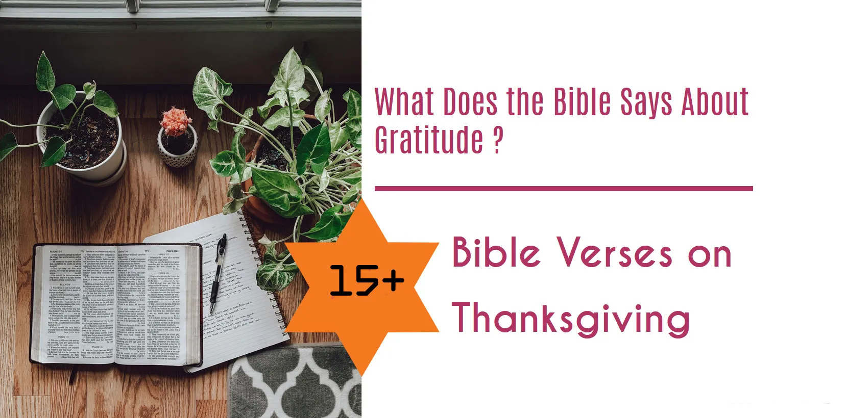 Read more about the article What Does The Bible Say About Gratitude? Biblical Verses on Thanksgiving