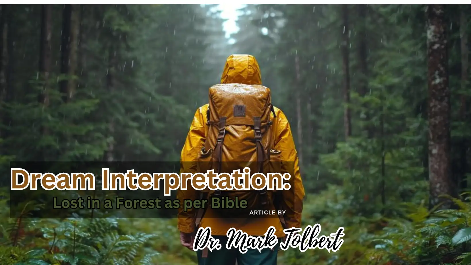 Read more about the article What Does It Mean Biblically When You Dream About Being Lost in a Forest?